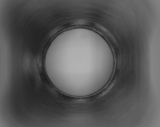 X0000100941017200807151301