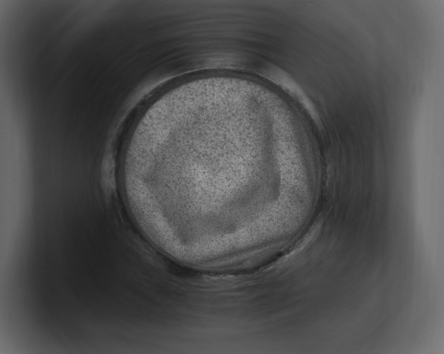 X0000100941019200807151301