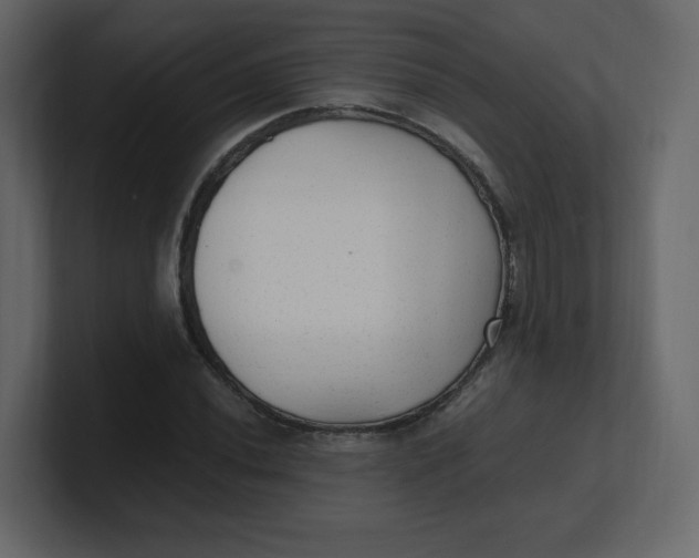 X0000100941020200807151301