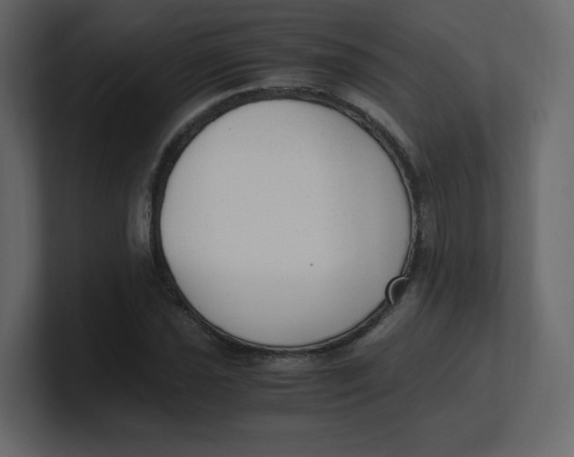 X0000100941021200807151301