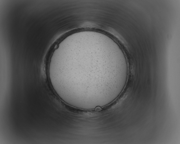 X0000100941022200807151301