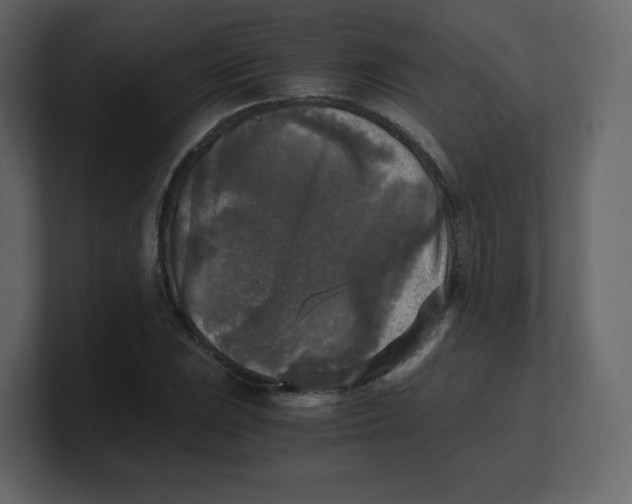 X0000100941023200807151301