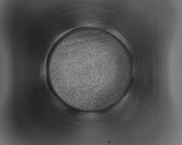 X0000100941028200807151301