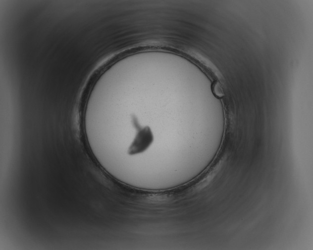 X0000100941029200807151301