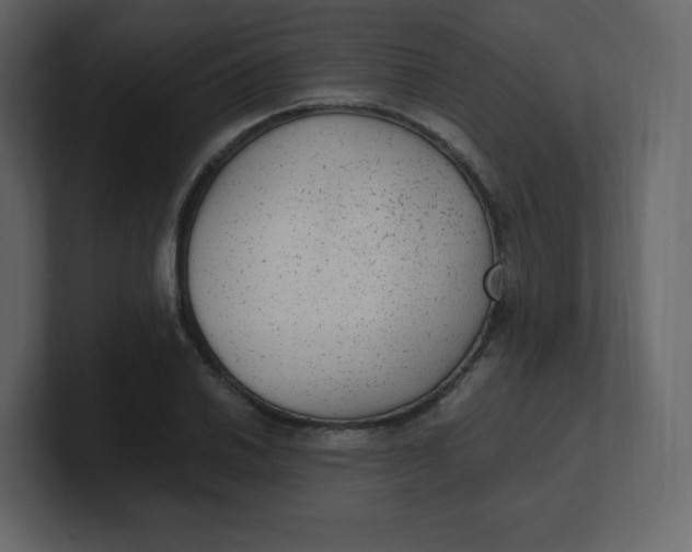 X0000100941030200807151301