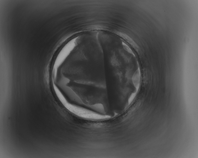 X0000100941031200807151301