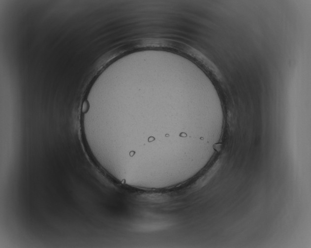 X0000100941033200807151301