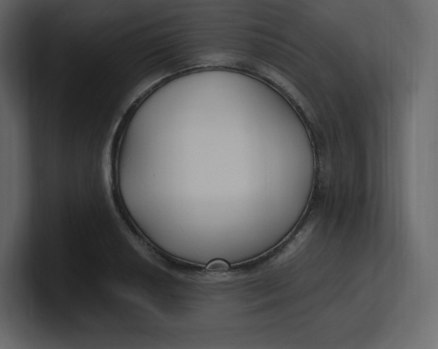 X0000100941034200807151301