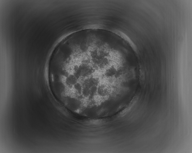 X0000100941035200807151301