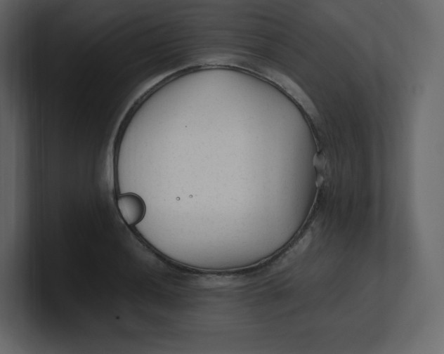 X0000100941036200807151301