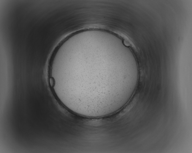 X0000100941038200807151301