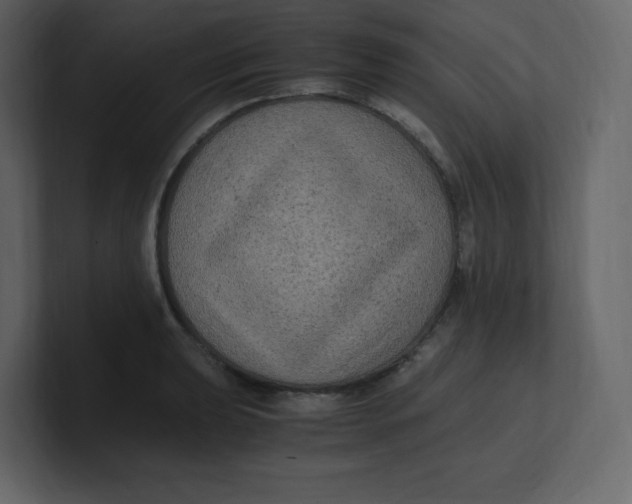 X0000100941039200807151301