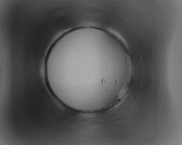 X0000100941040200807151301