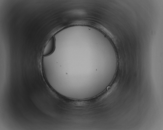 X0000100941041200807151301