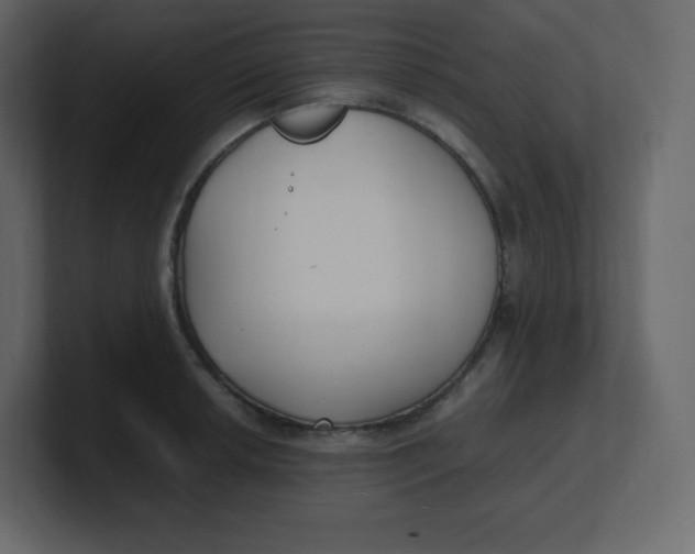 X0000100941042200807151301