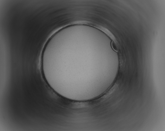 X0000100941044200807151302