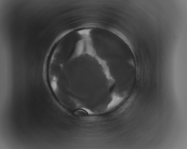 X0000100941045200807151302