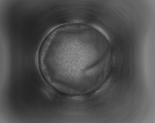 X0000100941047200807151302