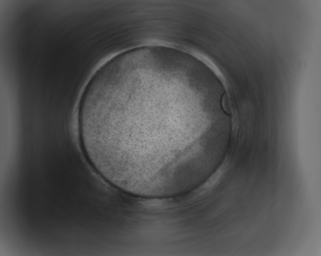 X0000100941048200807151302