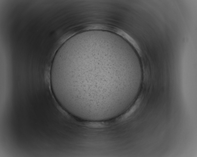 X0000100941049200807151302