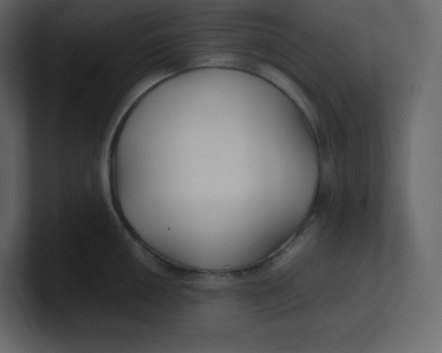 X0000100941050200807151302