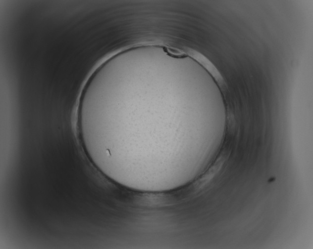 X0000100941052200807151302