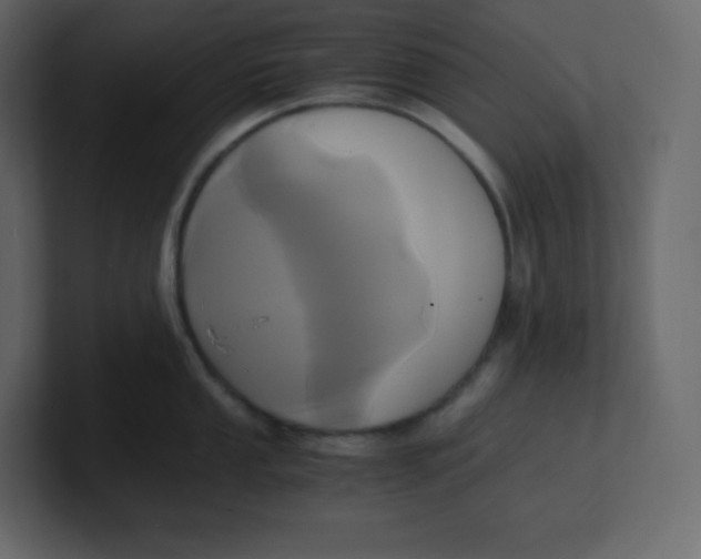 X0000100941053200807151302