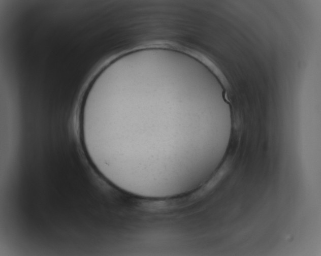 X0000100941054200807151302