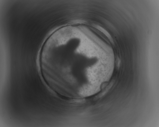 X0000100941055200807151302