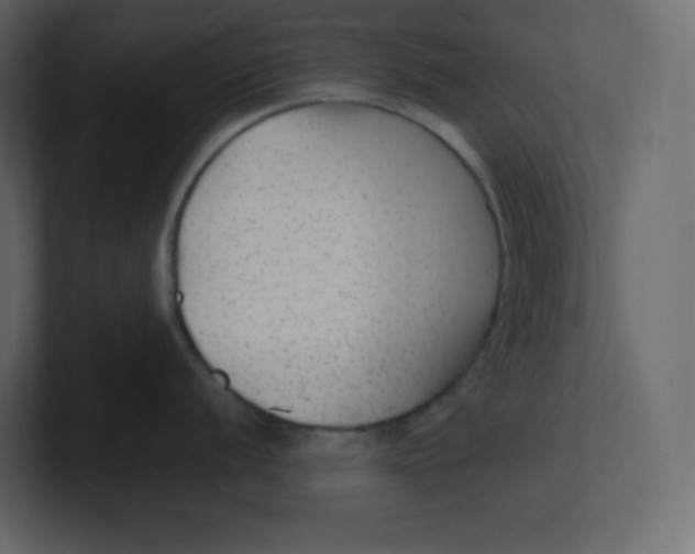 X0000100941056200807151302