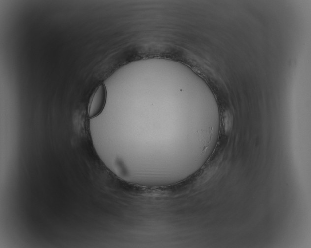 X0000100941059200807151301