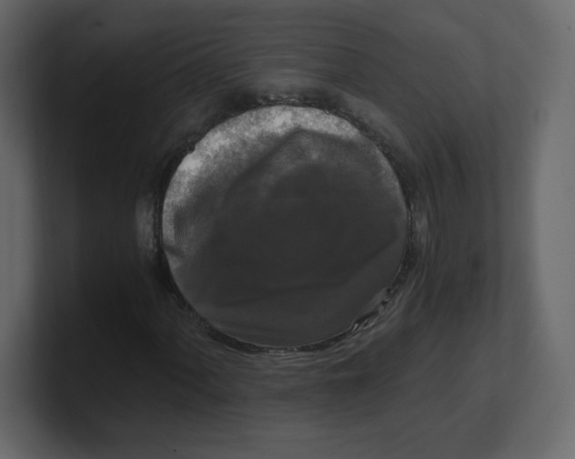 X0000100941060200807151301