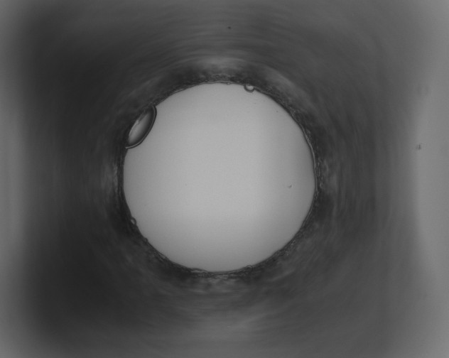 X0000100941061200807151301