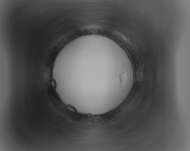 X0000100941062200807151301