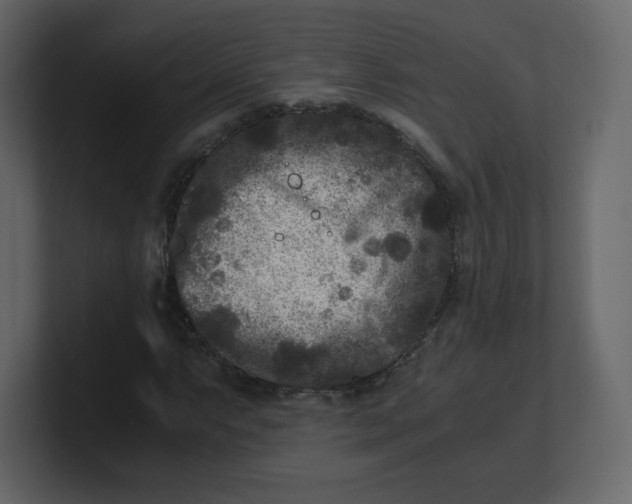 X0000100941063200807151301