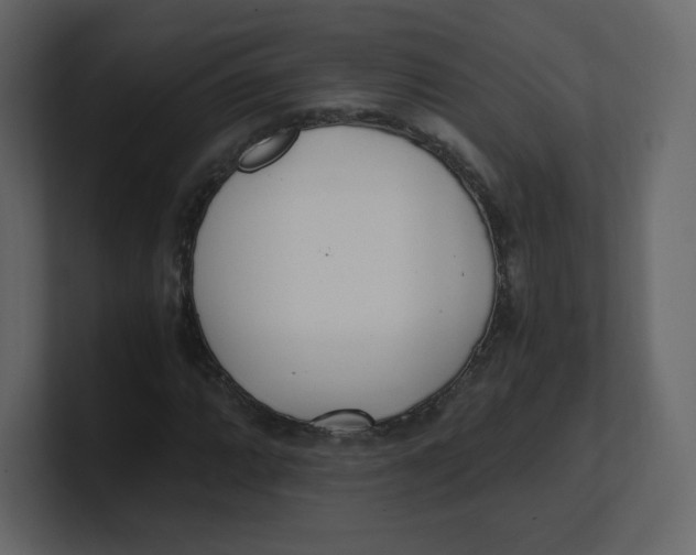 X0000100941064200807151301