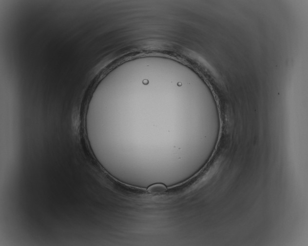 X0000100941065200807151301