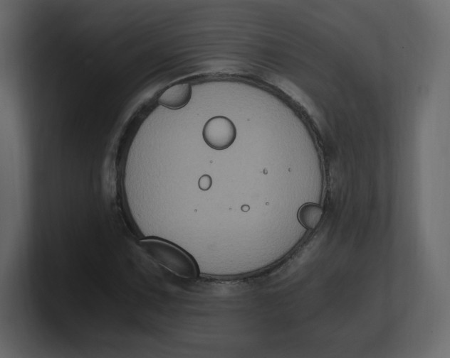 X0000100941067200807151301