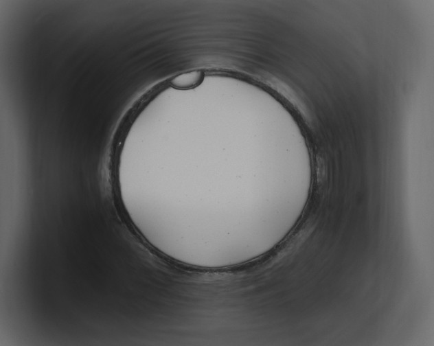 X0000100941068200807151301