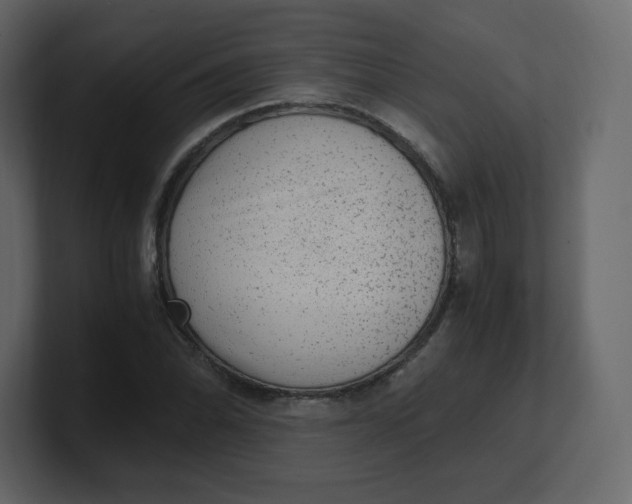 X0000100941070200807151301