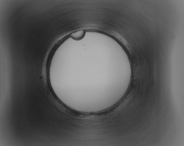 X0000100941072200807151301