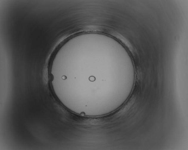 X0000100941075200807151301