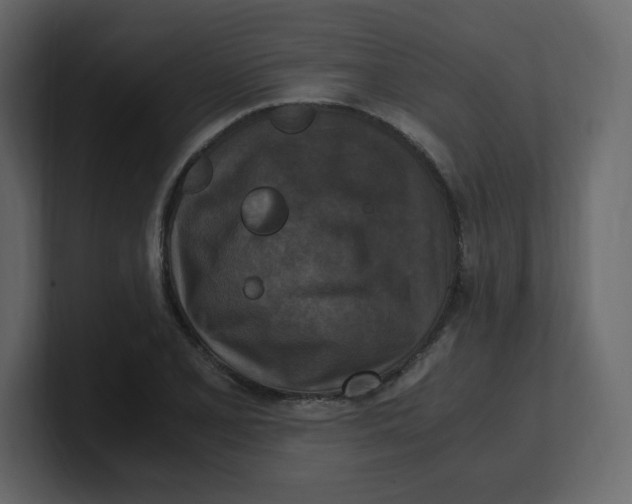 X0000100941077200807151301