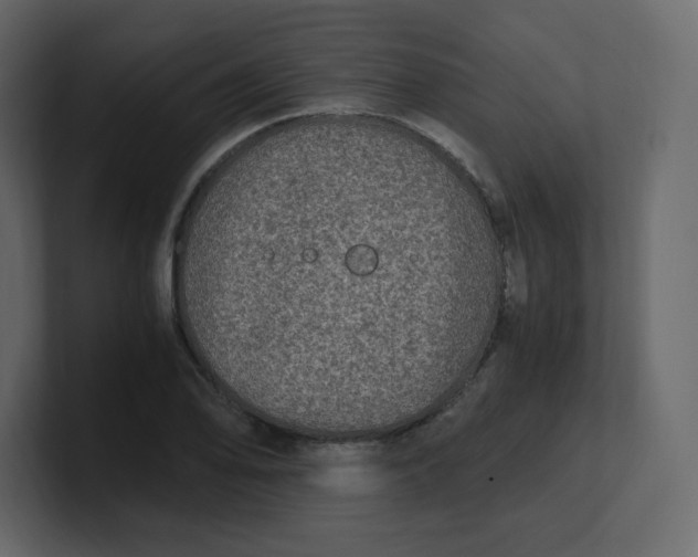 X0000100941078200807151301