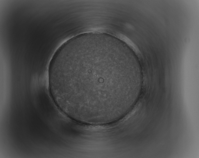 X0000100941079200807151301