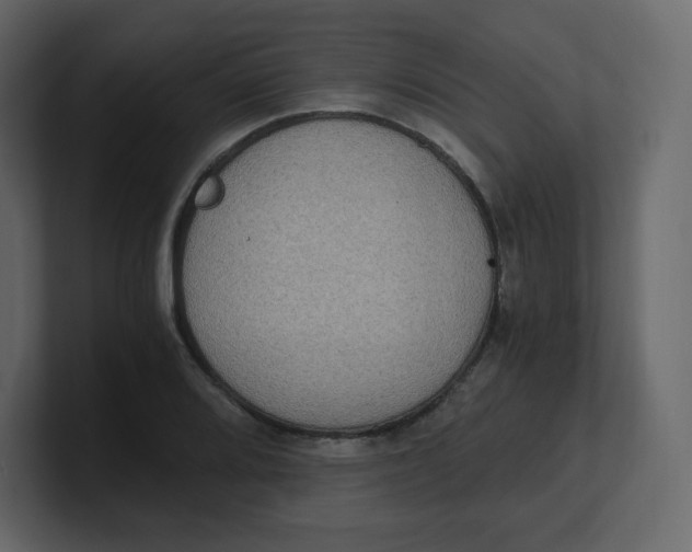 X0000100941080200807151301