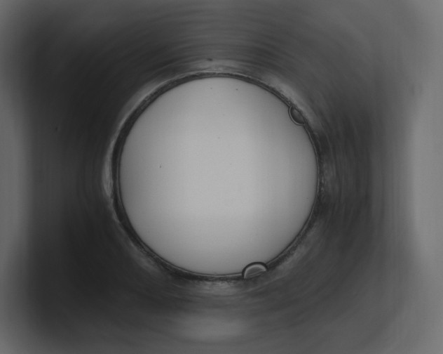 X0000100941082200807151301