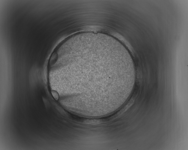 X0000100941083200807151301