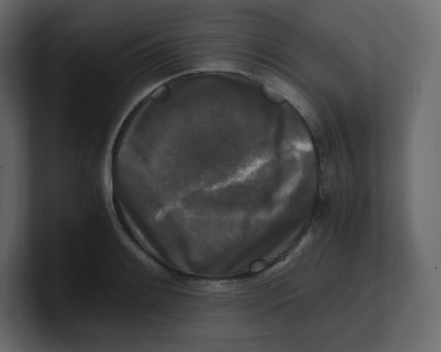 X0000100941084200807151301