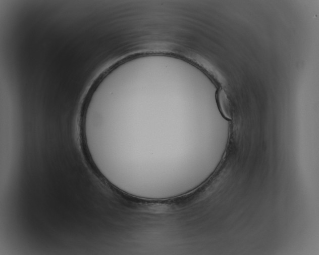 X0000100941085200807151301